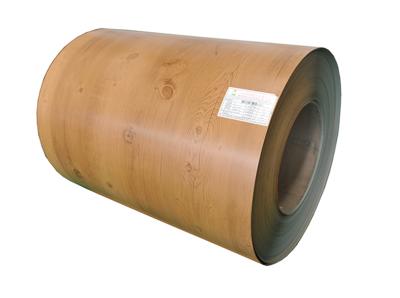 カラーコートシートサイズ