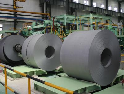 ピクルスシート